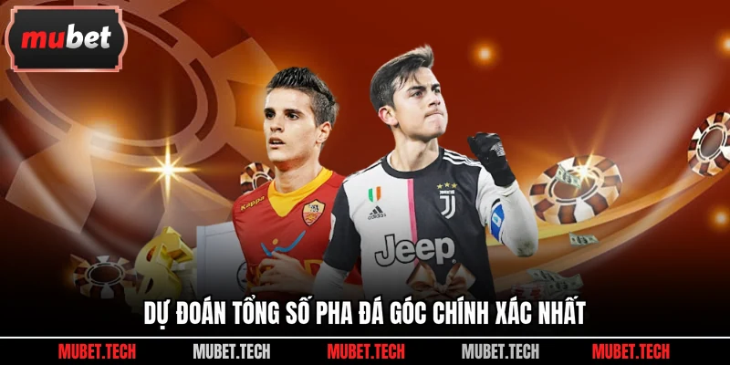 Dự đoán tổng số pha đá góc chính xác nhất