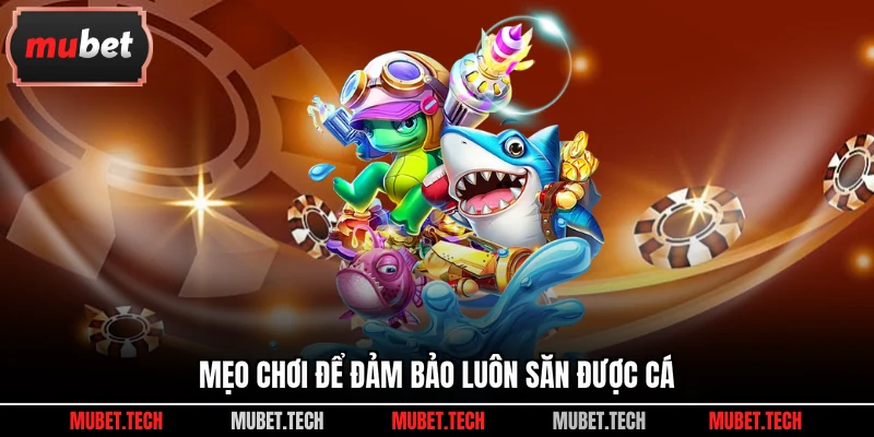 Mẹo chơi để đảm bảo luôn săn được cá