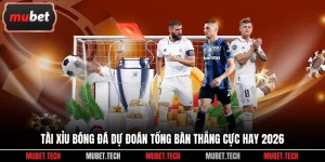 Tài Xỉu Bóng Đá Dự Đoán Tổng Bàn Thắng Cực Hay 2026