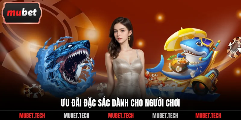 Ưu đãi đặc sắc dành cho người chơi